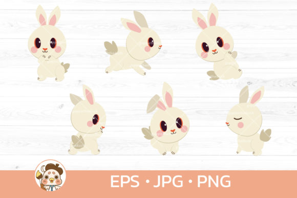 Download Bundle of White Rabbit - Rabbit Collection
