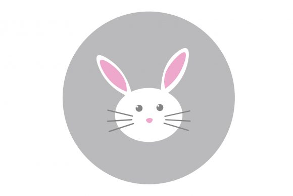 Download White Rabbit with Round Eyes - Rabbit Collection