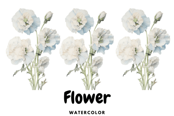 Download Flower Watercolor Flower - Watercolor Collection