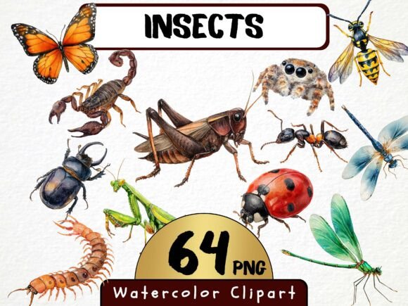 Download Insects Watercolor Clipart 64 PNG - Watercolor Collection